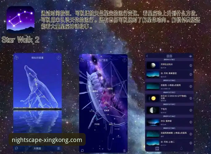 星空娱乐平台官方应用下载与使用完整指南